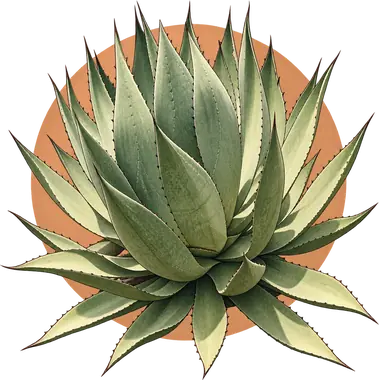 Grabado de Alto
