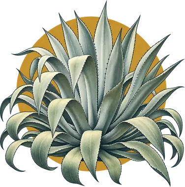 Grabado de Arroqueño