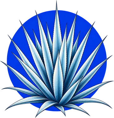 Grabado de Agave azul